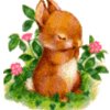 Кролк в цветочках