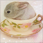 Зайчонок сидит в чашечке на блюдце