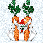 Зайчишка радостно прижимает к себе две морковки