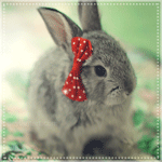 Маленький кролик с красным блестящим бантом