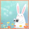 Кролик с фотоаппаратом в руках