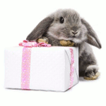 Кролик с подарком в ленточке