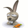 Кролик с марковкой