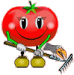 Смайлик помидорка с граблями