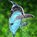  <b>Дельфин</b> на фоне водорослей 