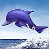 Дельфин в прыжке над волной