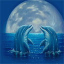  Два дельфина на <b>фоне</b> луны 