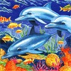 Дельфины среди рыб