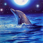  Дельфин в <b>лунную</b> и звёздную ночь 