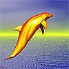  Дельфин в <b>прыжке</b> на закате 