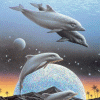 Дельфины и планеты