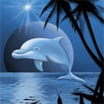 Дельфин освещен звездой