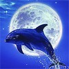 Игра голубого дельфина на фоне луны