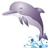 Дельфин в прыжке. Брызги