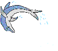 Дельфинчик кувыркается