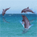 Дельфины прыгают над поверхностью воды