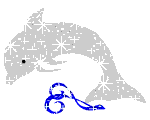 Звездный дельфин