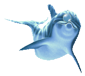 Голубой дельфин