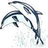 Два дельфина взмывают в небо