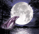 Дельфин прыгает на фоне луны