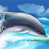 Дельфин в прыжке. Небо, море