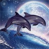 Два дельфина прыгают