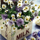 Цветы в пакете из-под молока (milk)