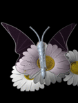 Стеклянная бабочка на ромашке