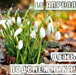  Открытки. 19 апреля День подснежника! <b>Падают</b> снежинки 