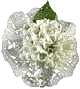  <b>Белые</b> цветы 