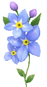 Голубой цветок. Нежность