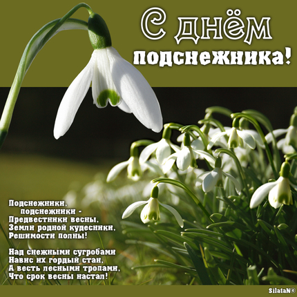 Открытки. 19 апреля День подснежника! Свежие цветы