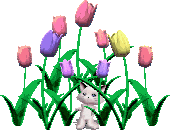 Котенок с цветочками на газоне. Тюльпаны