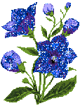 Синие цветы. Блестяшка