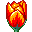 Распускающийся тюльпан