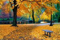  Осенние <b>листья</b> укрыли дорожки парка. Светлая осень 