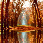  Озеро в осеннем <b>лесу</b> 