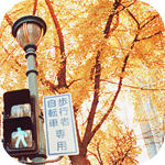 Фонарь и светофор на фоне осеннего дерева в японском городе