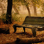 Осенняя скамейка вспоминает о лете