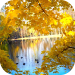 Осень. Золотой лес отражается в воде