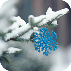 Голубая снежинка на заснеженной елочной ветке