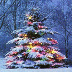  Украшенная разноцветными гирляндами ёлка в зимнем <b>лесу</b> 