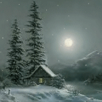  <b>Лунная</b> ночь в зимнем лесу 