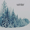 Зимний лес (winter)