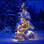Празднично украшенная ёлка в зимнем лесу