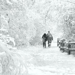 Пара идет по зимней дороге