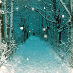 Зима, аллея в снегу