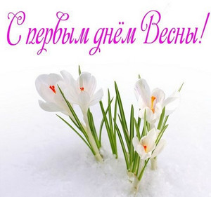  С первым днем весны <b>поздравляем</b>! Цветы из-под снега 