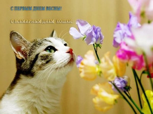  1 марта - всемирный день кошек. Киса <b>нюхает</b> цветы 
