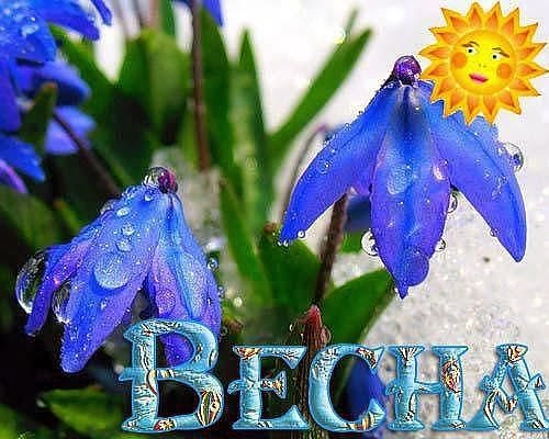 С весной тебя! Голубые цветы